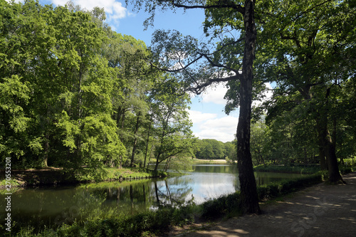 volkspark jungfernheide