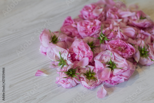 dry tea rose pink flowers on wooden