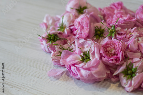 dry tea rose pink flowers on wooden