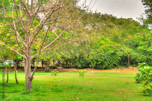 Quinta de San Pedro Alejandrino, Santa Marta, Colombia photo