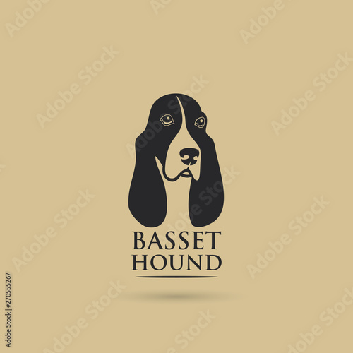 Basset hound dog - vector illustration - Vector