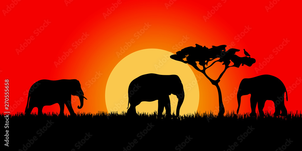Obraz premium Landscape of African savannah. Animals in wild nature.