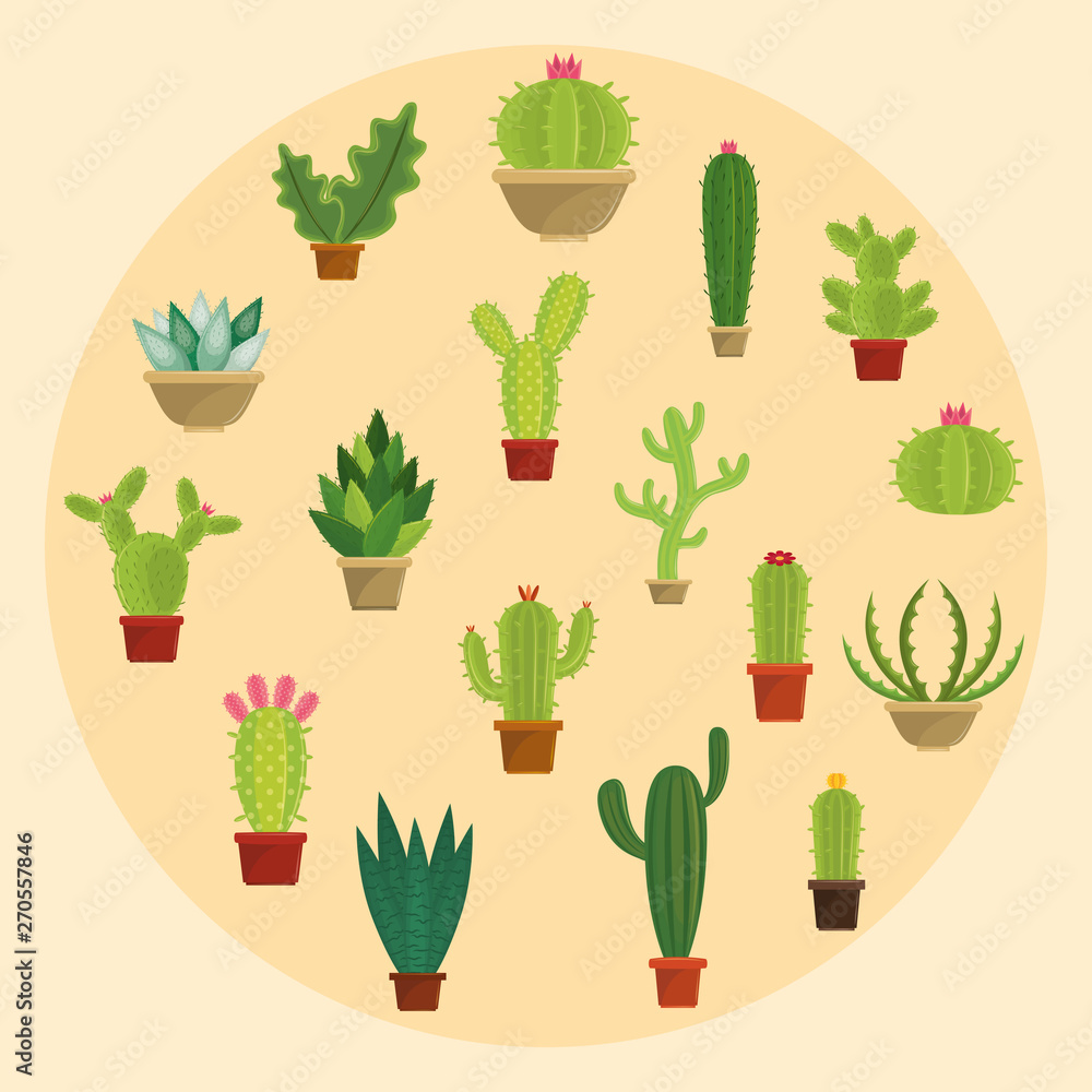 Cactus succulents pots set of icons Cactus succulents pots set of icons