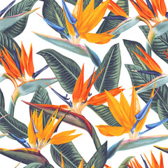 Fototapete Tropische Paradiesblumen-Muster Strelitzia Reginae Blüten Tropenmuster  © MPetrovska