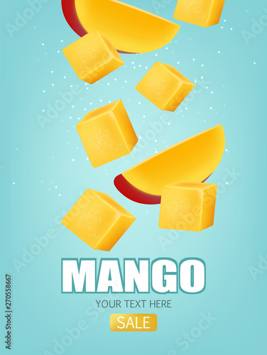 Mango fruit sliced Vector realistic. Detailed elements design. 3d illustrations