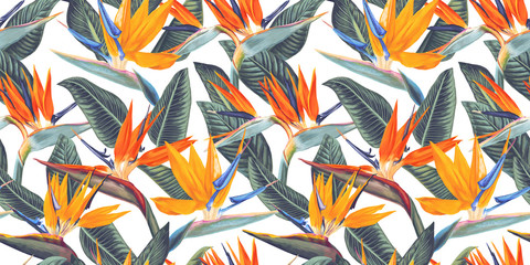 Fototapete Tropische Paradiesblumen-Muster Handgezeichnete Strelitzia Tropenblüten Muster  © MPetrovska