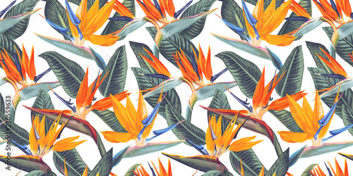 ,Seamless pattern with tropical flowers and leaves of Strelitzia, called crane flower or bird of paradise. Realistic style, hand drawn, vector. Background for prints, fabric, wallpapers, wrapping pape photo