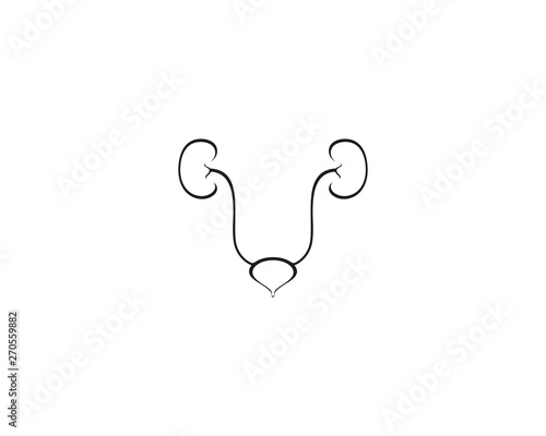 Renal system vector icon illustration design 