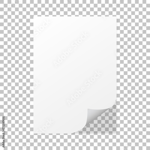 Paper curl on a isolated background with shadow - vector design