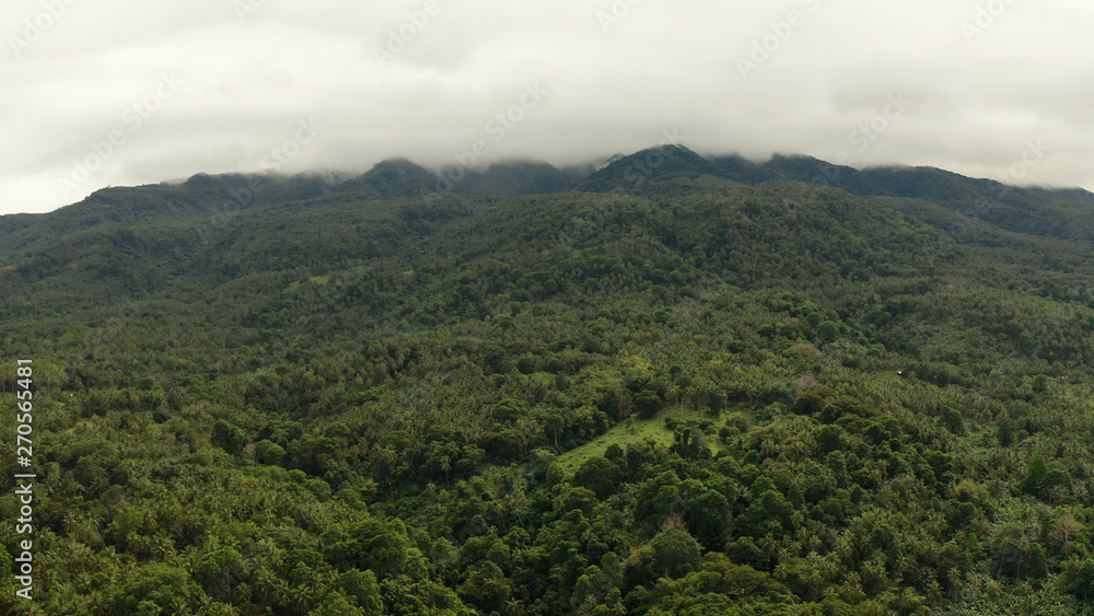 Mountains covered rainforest, trees in cloudy weather, aerial view. Camiguin, Philippines. Mountain landscape on tropical island with mountain peaks covered with forest. Slopes of mountains with