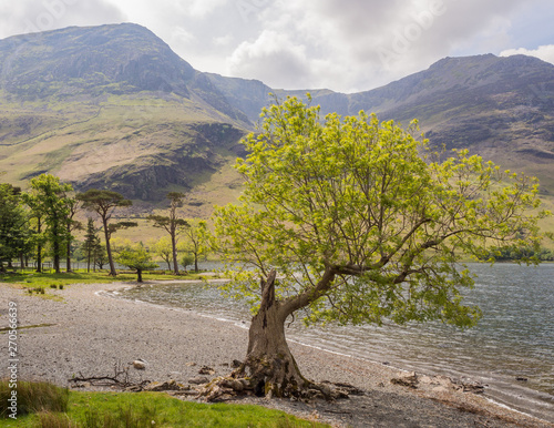 Beautiful spring day at Buttermere, Lake District, Cumbria, UK photo