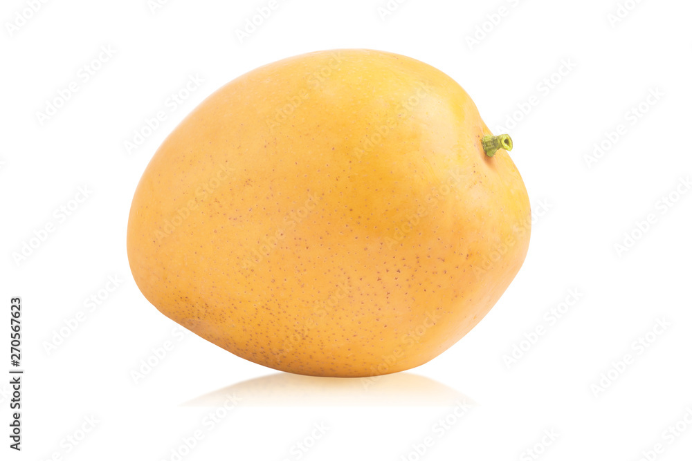 Fresh Yellow Mango on white background, Mango with Slice on white background, Mango isolated on white background, Water drops on Mango