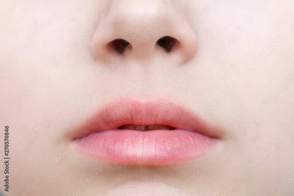 Part of face, young woman lips close up. Plump lips without makeup Part of face, young woman lips close up. Plump lips without makeup