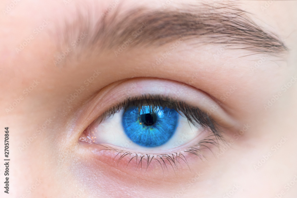 Obraz premium Part of face, beautiful blue woman single eye close up