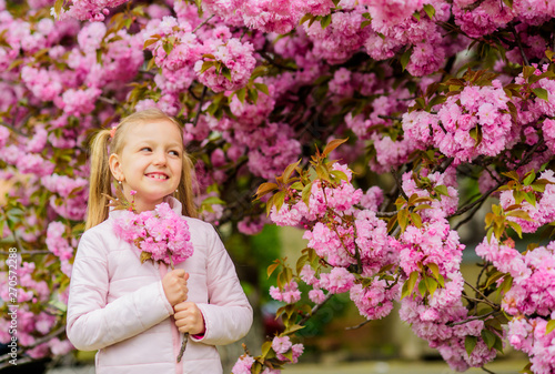 Pollen allergy concept. Kid on pink flowers sakura tree background. Allergy remedy. Child enjoy life without allergy. Sniffing flowers. Get rid of seasonal allergy. Girl enjoying floral aroma