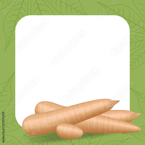 banner frame of cassava fresh for copy space, cassava cut slice for tapioca flour industry or ethanol, pile yucca cassava tuber on frame, raw manioc cassava on template banner green background empty
