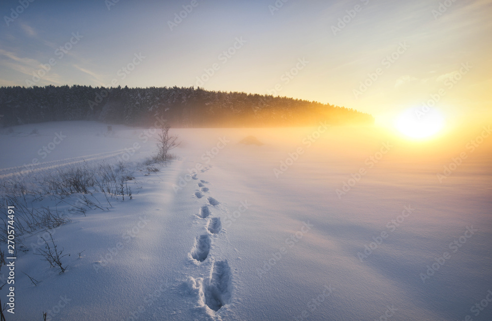 step by step step by step