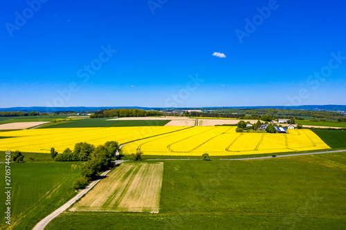 Aerial view, agriculture with cereal fields and rapeseed cultivation, Usingen, Schwalbach, Hochtaunuskreis, Hesse, Germany photo