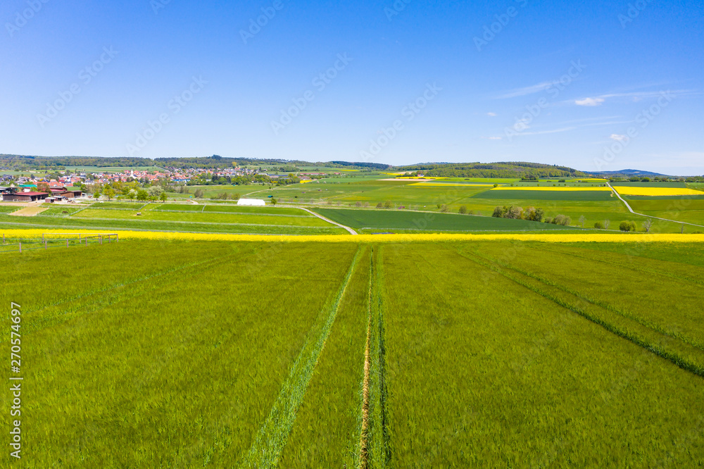 Fototapeta premium Aerial view, agriculture with cereal fields and rapeseed cultivation, Usingen, Schwalbach, Hochtaunuskreis, Hesse, Germany