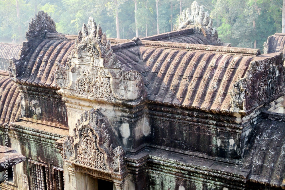 Cambodia Angkor Wat View Of The Jungle