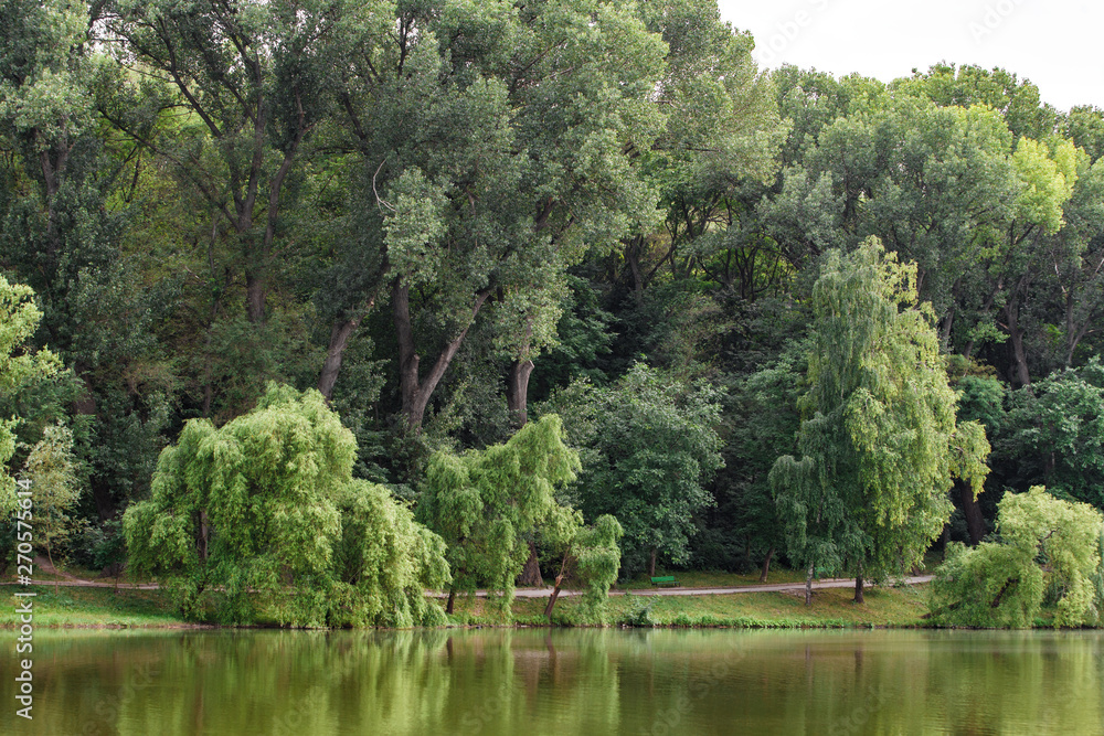 View of Park area. Trees are reflected in lake water. View of Park area. Trees are reflected in lake water.