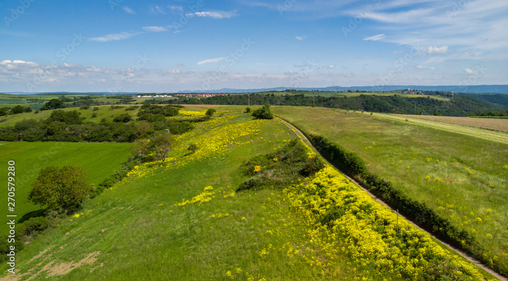 Obraz premium Ein Wanderweg in der Vulkaneifel