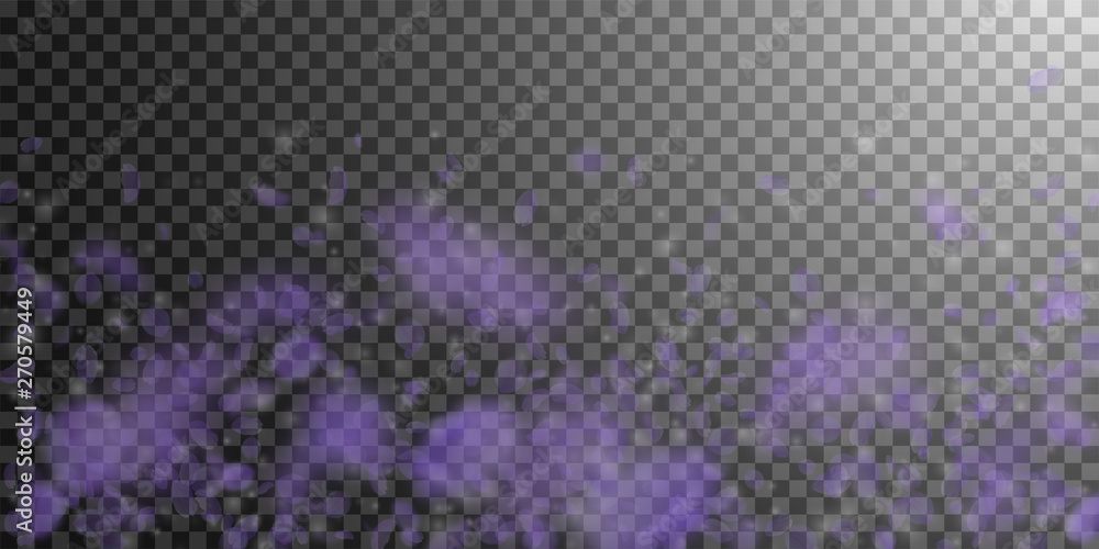 Violet flower petals falling down. Energetic roman Violet flower petals falling down. Energetic roman