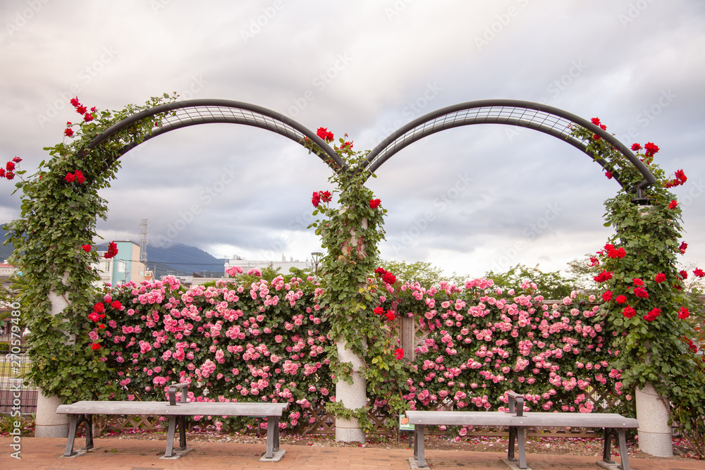 Fototapeta premium ベンチ