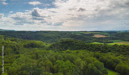 Blick über die Wälder der Eifel aus der Luft