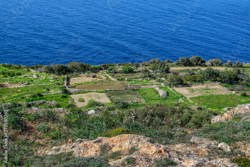 Obraz na płótnie The small area of terrace fields occupies the rocky of Dingli Cliffs, Malta w salonie