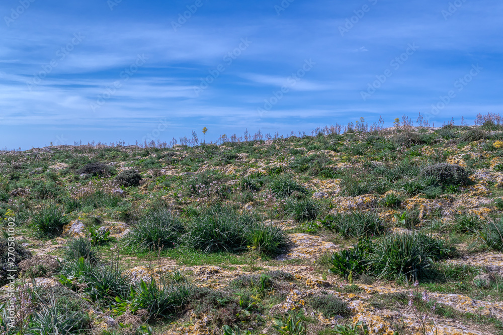 View of green meadow and blue sky, Malta