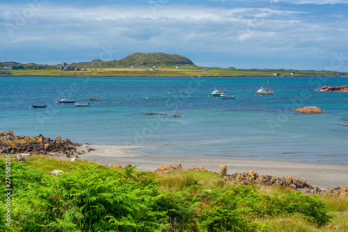 Sheep on the Beach on Mull with Turquoise Sea and the Island of Iona in the Background