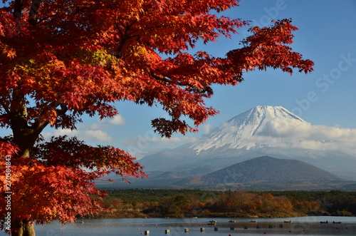 雪景色の富士山と紅葉