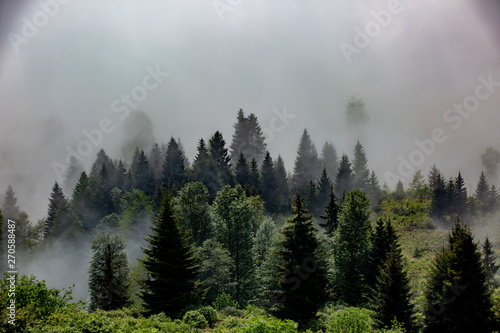 Fototapeta Naklejka Na Ścianę i Meble -  Mountain, Highland and the Land of the clouds Black Sea