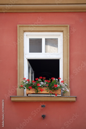 A beautiful red flower is standing on the window of the house