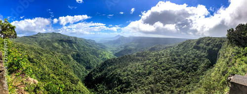 Panoramic aerial view of Tropical Forest on a sunny day © jovannig