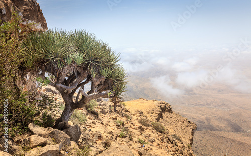 Tapety artystyczne Jebel Samhan, Oman