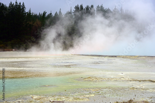 Fototapeta Naklejka Na Ścianę i Meble -  Geothermal craters in the forest in the Waiotapu area of the Taupo Volcanic Zone in New Zealand