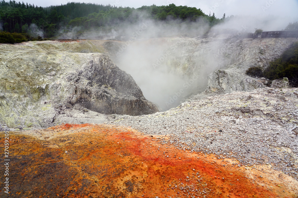 Geothermal craters in the forest in the Waiotapu area of the Taupo Volcanic Zone in New Zealand