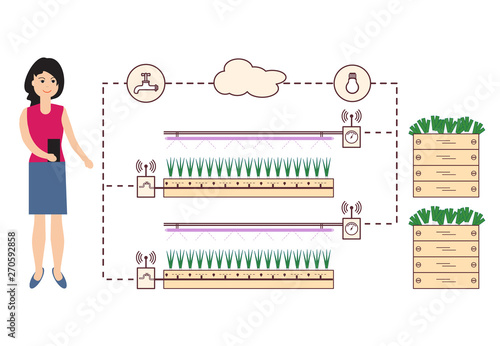 Woman controls the smart farm and agriculture.