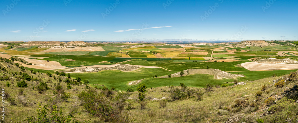Spanish countryside in spring (Castrillo de Duero, Castilla y Leon, Spain) Spanish countryside in spring (Castrillo de Duero, Castilla y Leon, Spain)