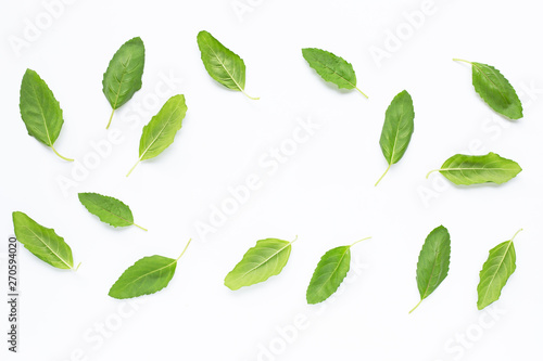 Holy basil  leaves on white
