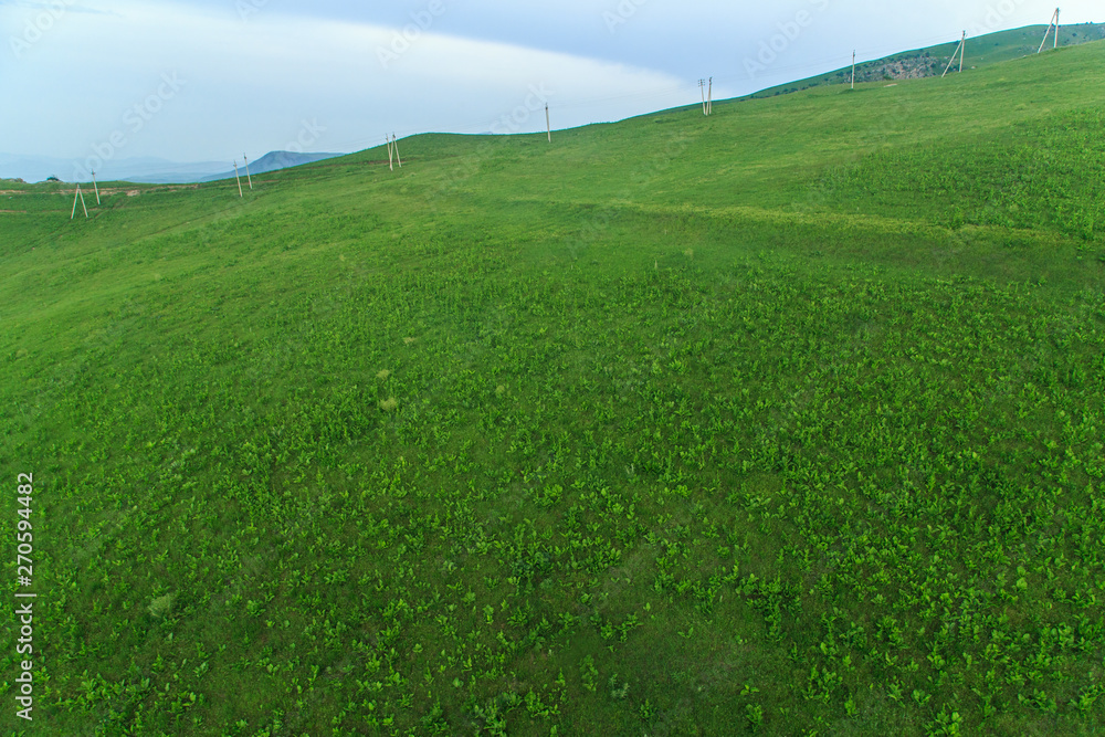 Fototapeta premium The mountains of the Iran and Turkmenistan on a summer day, greenery, hills. Mountains Iran summer day, green hills, sun, sky, summer, valley
