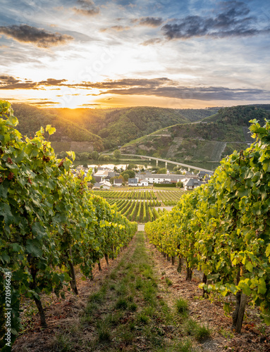 Sund down in mosel valley