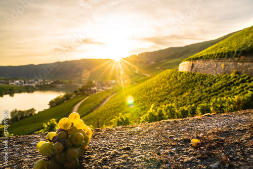 Sund down in mosel valley