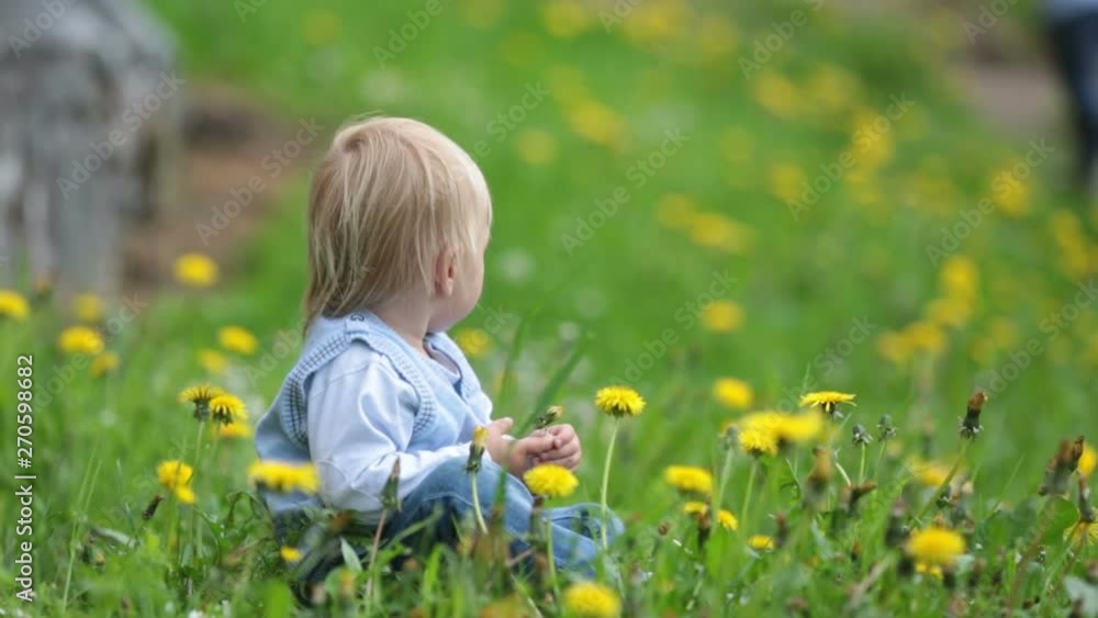 Little cute toddle boy, playing with flowers in dandelion field Little cute toddle boy, playing with flowers in dandelion field