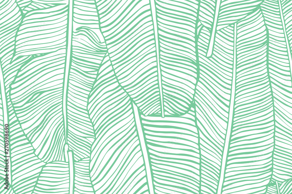 Plakat Tropikalne liście. Bezszwowa tekstura z bananowym liściem. Ręcznie rysowane tropikalne liście. Egzotyczne zielone tło.