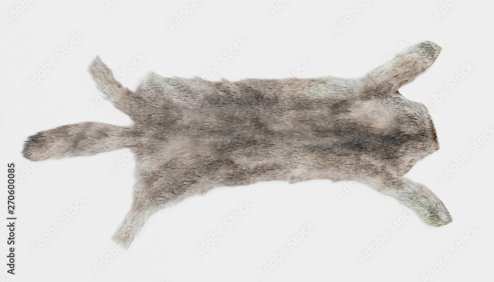 Realistic 3D Render of Wolf Skin Realistic 3D Render of Wolf Skin