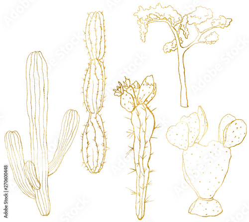 Vector golden sketch set with mexican cacti. Hand painted floral collection: desert cactus and tree. Botanical line art illustration isolated on white background for design, print, fabric.