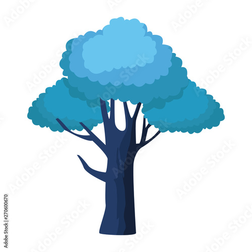 leafy and colorful tree icon photo